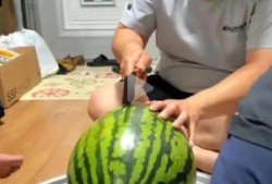 瓜地吃瓜直播,揭秘网红直播背后的趣味与商机