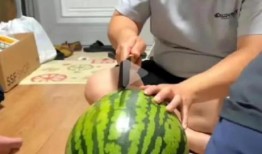 瓜地吃瓜直播,揭秘网红直播背后的趣味与商机