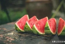 吃瓜小白白,吃瓜小白白的趣味食光之旅