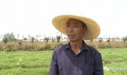 沭阳律师吃瓜,法律界人士的“瓜田李下”