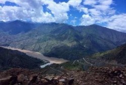 吃瓜能手渡渡,揭秘吃瓜达人的瓜界传奇