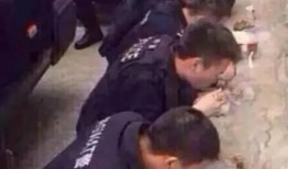 泥城警察吃瓜事件,网络热议背后的真相与反思