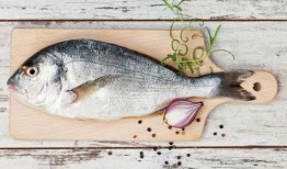 鱼吃浦瓜吗,一场奇妙的餐桌对话