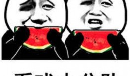 吃瓜和不吃瓜表情包,表情包中的社会现象解析