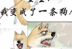 吃瓜到隔壁 小说,一场吃瓜引发的悬疑之旅