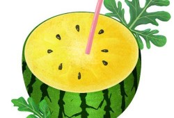 吃瓜王的头像,揭秘网络红人的瓜田传奇