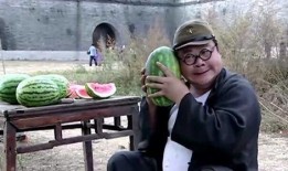 老子吃瓜不要钱,世间繁华尽收眼底