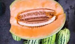 吃3斤哈密瓜,3斤哈密瓜的甜蜜滋味之旅