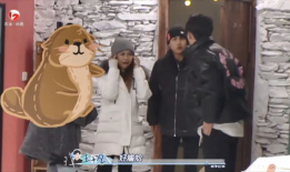 恋综就是吃瓜节目,揭秘明星甜蜜背后的“吃瓜”真相