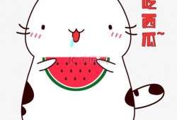 吃瓜送瓜表情包可爱版,表情包里的甜蜜时光