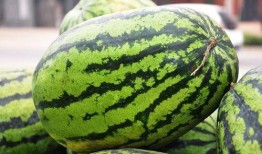 江西新郎吃瓜,引发网友热议！