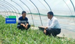 沭阳律师吃瓜,法律界人士的“瓜田李下”