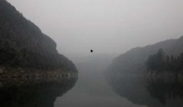 吃瓜能手渡渡,揭秘吃瓜达人的瓜界传奇