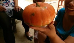 奈布吃瓜,揭秘娱乐圈背后的那些事儿