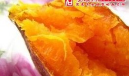 梦见自己吃土瓜,土瓜滋味，揭秘潜意识中的渴望与困惑