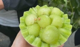 山东玉瓜怎么吃,解锁美味新体验