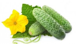 真假少爷吃瓜系统,揭秘豪门背后的吃瓜风云