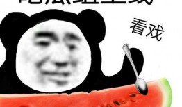 西城事件吃瓜,一场网络舆论的风暴与反思