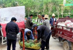 唐庄镇最近吃瓜视频