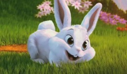 吃瓜视频大全肌肉兔,吃瓜视频大全中的健身达人