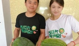 禹城同城吃瓜,揭秘本地热门事件背后的真相