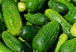 梦到自己吃白瓜,白瓜美食之旅