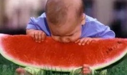 西瓜吃瓜比赛视频,速度与激情的甜蜜对决