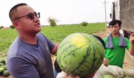 云优滑板吃瓜,吃瓜群众眼中的滑板潮流新宠