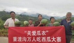 吃瓜群众信息站,吃瓜群众信息站独家爆料