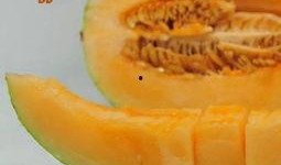 减肥后吃蜜瓜好吗,减肥后食用蜜瓜的适宜性探讨