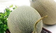 哈密瓜会吃胖,美味解渴，却不会让你发胖的秘密