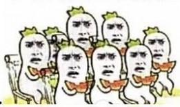 苏菲教你吃瓜群众,苏菲教你成为吃瓜群众的智慧指南