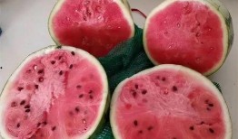 夏季麒麟瓜怎么吃