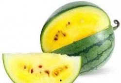 郑州哪里吃瓜最好,探寻城市里的甜蜜诱惑