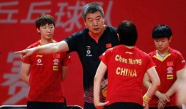 乒圈吃瓜,揭秘吃瓜群众的狂欢盛宴