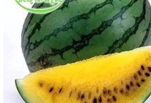 吃瓜吃瓜吃瓜就好,轻松看世界