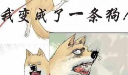 重生后我吃瓜,我吃瓜的逆袭人生