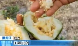 云南蔡总吃瓜视频,揭秘网红美食背后的故事