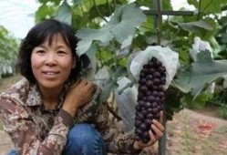 范县吃瓜男女,揭秘男女生吃瓜那些事儿