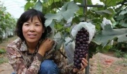 范县吃瓜男女,揭秘男女生吃瓜那些事儿