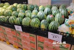 吃瓜群众树脂摆件,揭秘吃瓜群众树脂摆件的魅力与故事