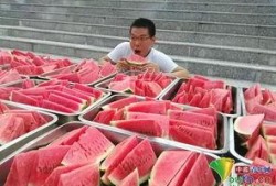 廊坊学校老师吃瓜,揭秘校园背后的“瓜田”