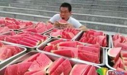 廊坊学校老师吃瓜,揭秘校园背后的“瓜田”