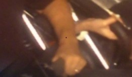 女生在楼上吃瓜