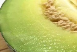 佛山营销吃瓜,吃瓜群众见证品牌崛起之路