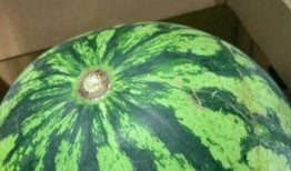 小雪吃瓜真假,揭秘真相与谣言的交织