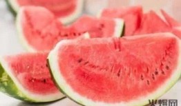 年代文里吃瓜,瓜田里的风月往事