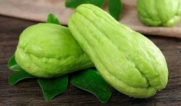 喂奶可以吃葫芦瓜,哺乳期妈妈的营养佳品