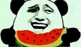 吃瓜群众怎么挑瓜,如何挑选新鲜美味瓜果