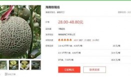 今日吃大瓜小说,揭秘小说中的惊天秘密与情感纠葛